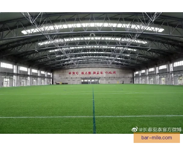 2026世界杯决赛场纽约新泽西体育场草坪改造以符合FIFA标准